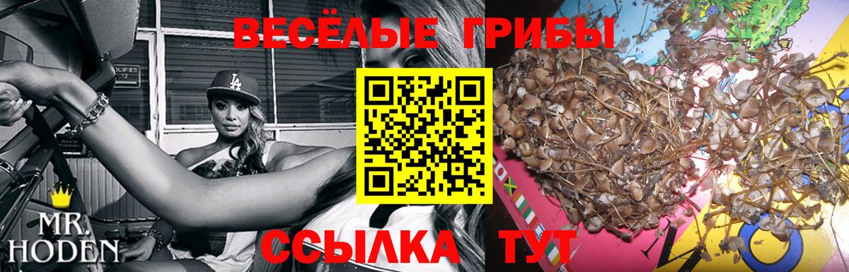 Псилоцибиновые грибы GOLDEN TEACHER  Псилоцибиновые грибы мухоморы  Вход с VPN  Усть-Лабинск 